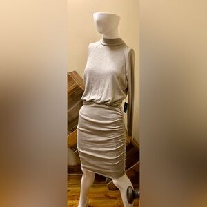 Express Ladies Knit Taupe Mock Turtleneck Dress NWT